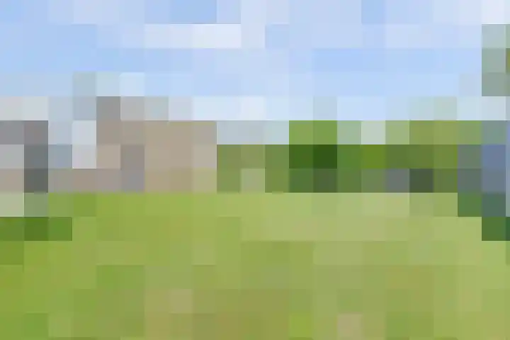 Laauwikstraat 43 Lent thumbnail 52