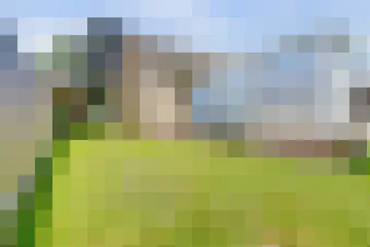 Laauwikstraat 43 Lent thumbnail 53