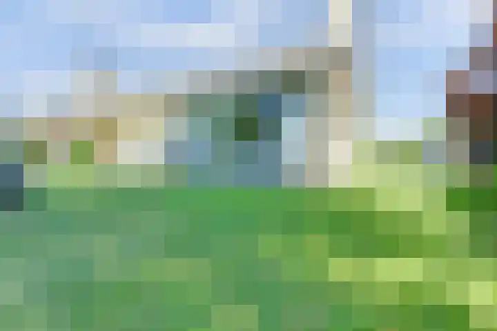 Laauwikstraat 43 Lent thumbnail 55