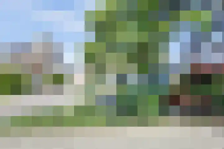 Laauwikstraat 43 Lent thumbnail 56