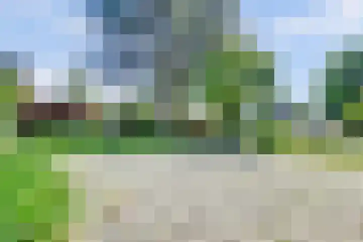 Laauwikstraat 43 Lent thumbnail 57