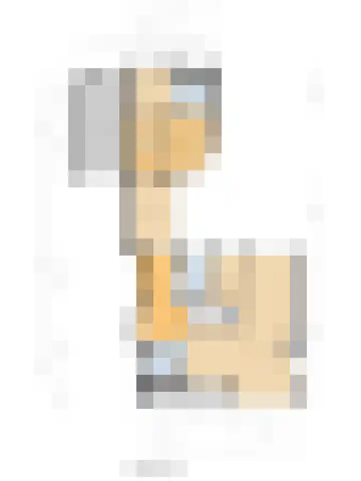 Laauwikstraat 43 Lent thumbnail 59