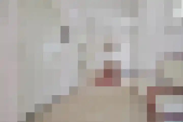 Laauwikstraat 43 Lent thumbnail 6