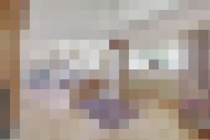 Laauwikstraat 43 Lent thumbnail 9