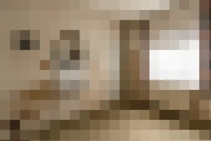 Laauwikstraat 75 Lent thumbnail 15