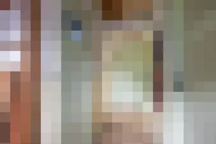Laauwikstraat 75 Lent thumbnail 23