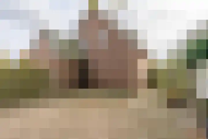 Laauwikstraat 75 Lent thumbnail 27