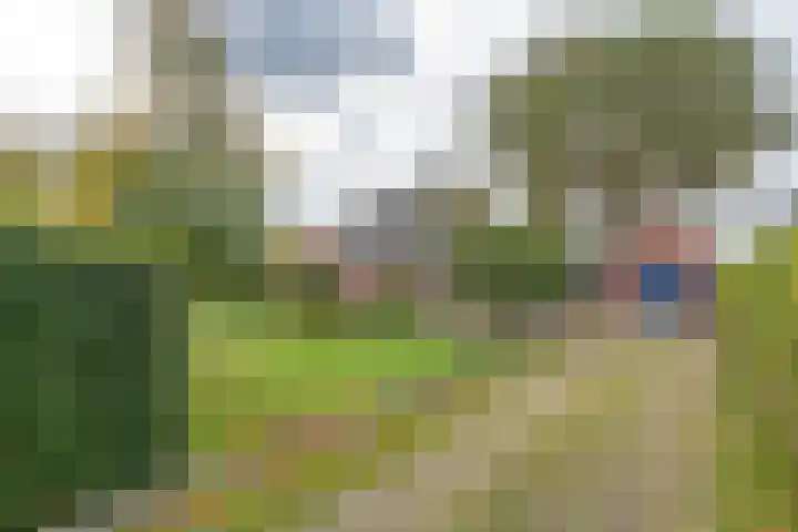 Laauwikstraat 75 Lent thumbnail 29