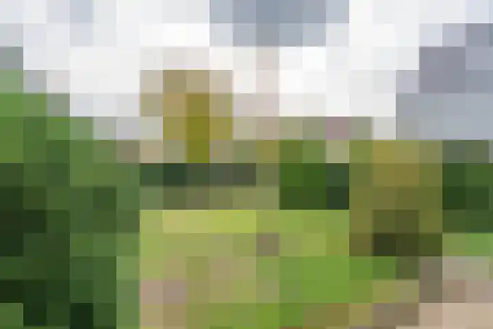 Laauwikstraat 75 Lent thumbnail 31