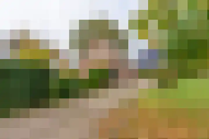 Laauwikstraat 75 Lent thumbnail 33