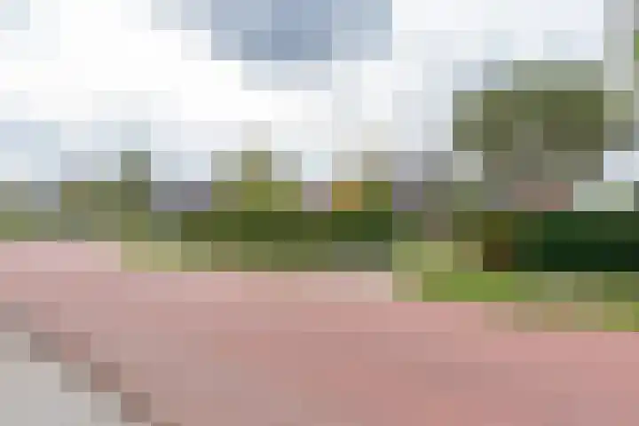 Laauwikstraat 75 Lent thumbnail 35
