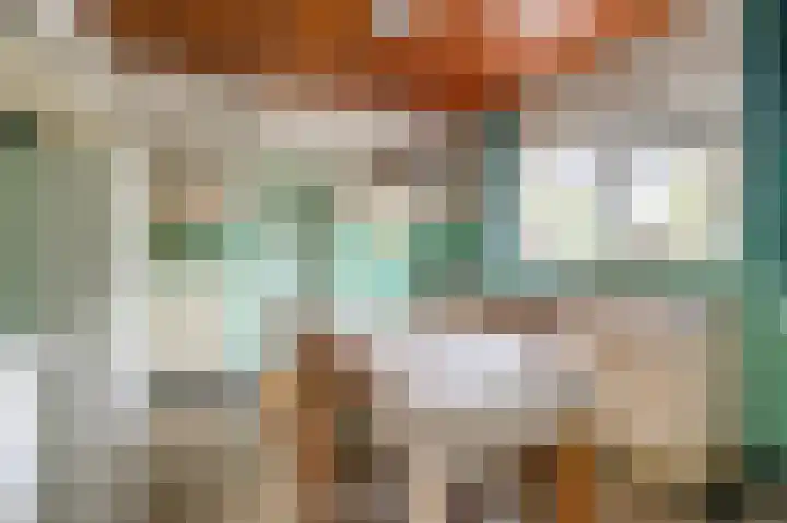 Laauwikstraat 75 Lent thumbnail 8