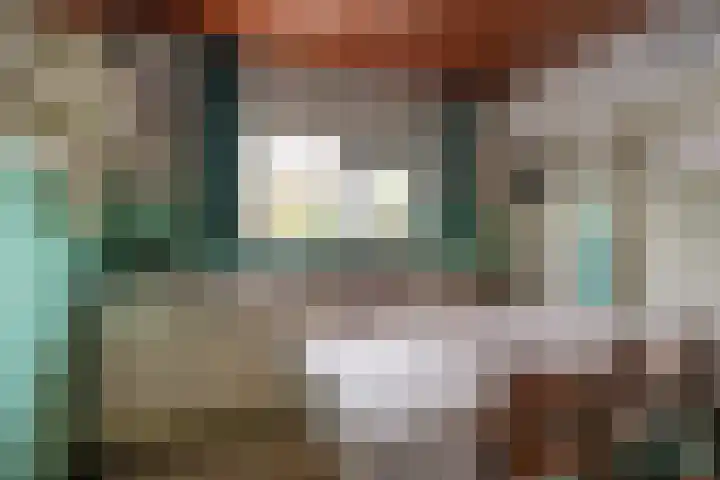 Laauwikstraat 75 Lent thumbnail 9