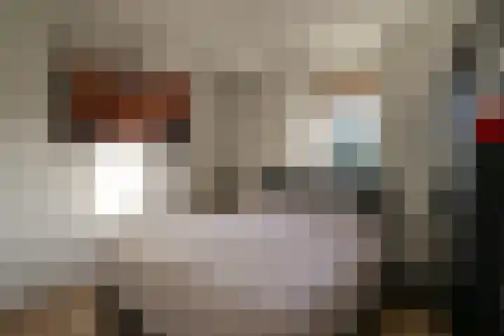 Laauwikstraat 82 A 8 Lent thumbnail 8