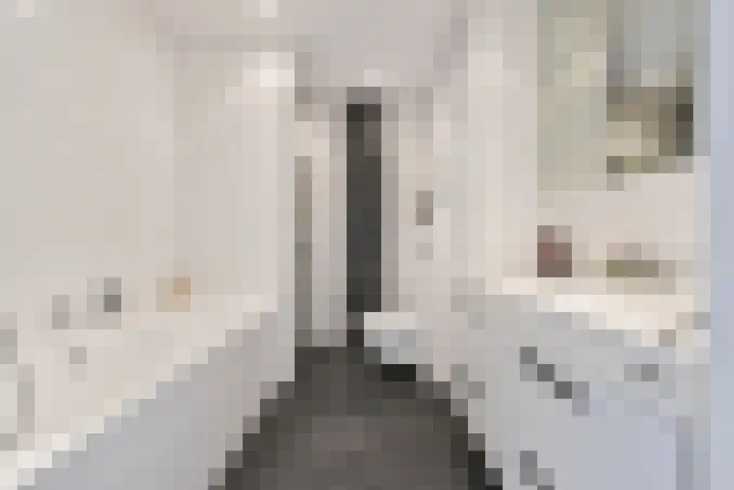 Laaxumstraat 58 Amersfoort thumbnail 24