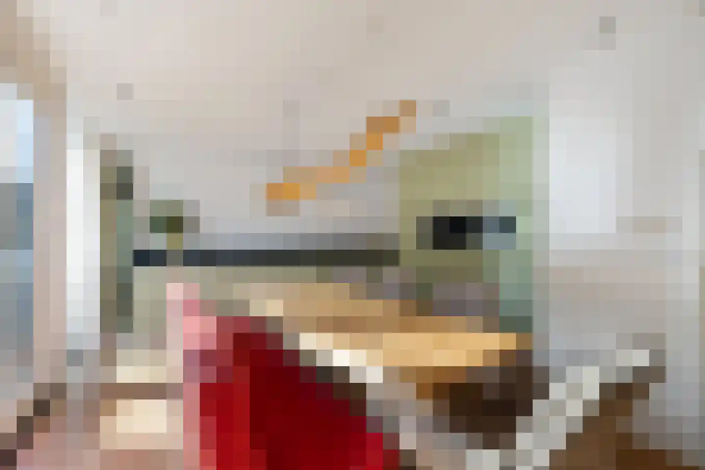 Labadistendyk 28 Wiuwert thumbnail 20