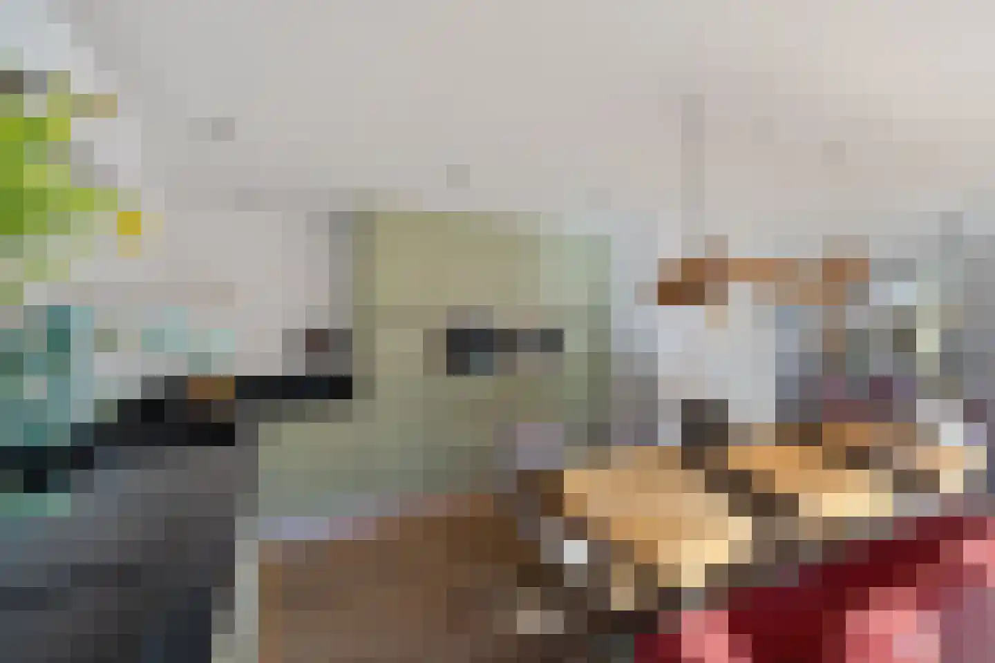 Labadistendyk 28 Wiuwert thumbnail 21