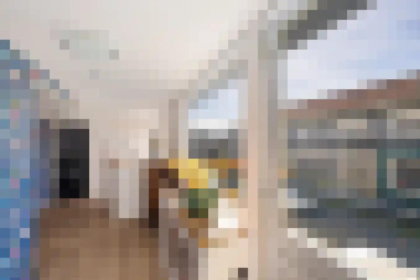 Labadistendyk 28 Wiuwert thumbnail 37