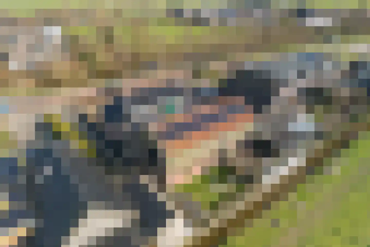 Labadistendyk 28 Wiuwert thumbnail 4
