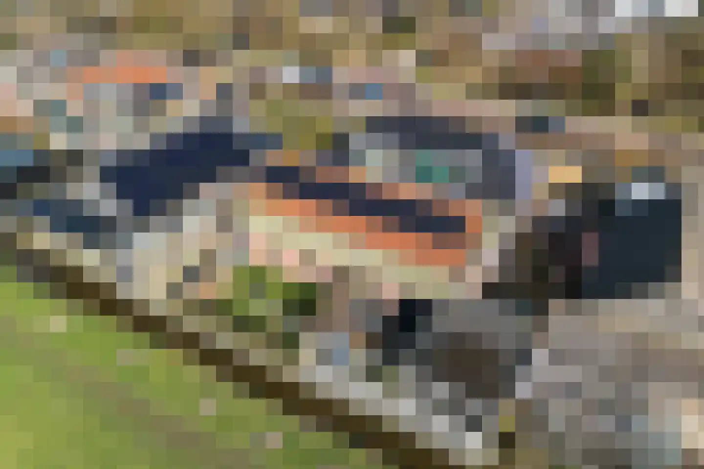 Labadistendyk 28 Wiuwert thumbnail 40