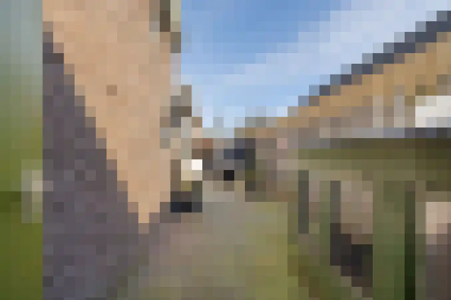 Labadistendyk 28 Wiuwert thumbnail 41
