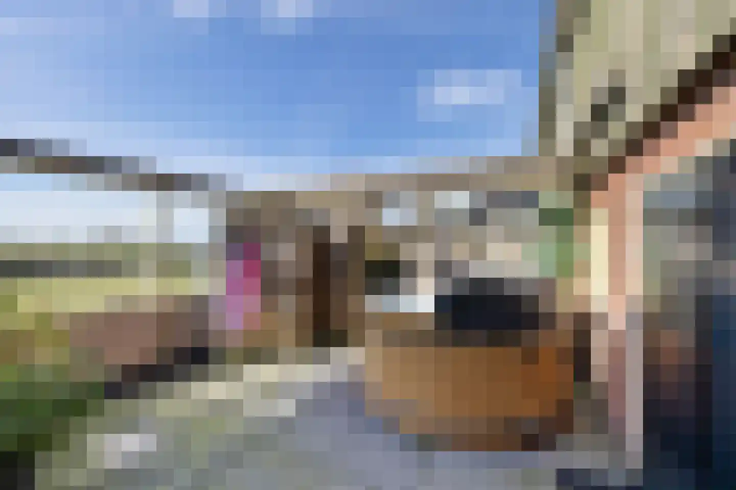 Labadistendyk 28 Wiuwert thumbnail 44