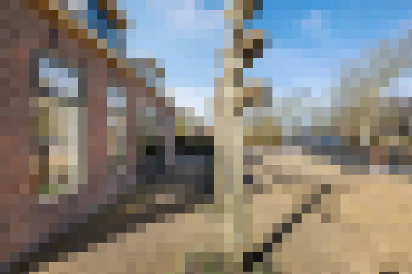 Labadistendyk 28 Wiuwert thumbnail 51