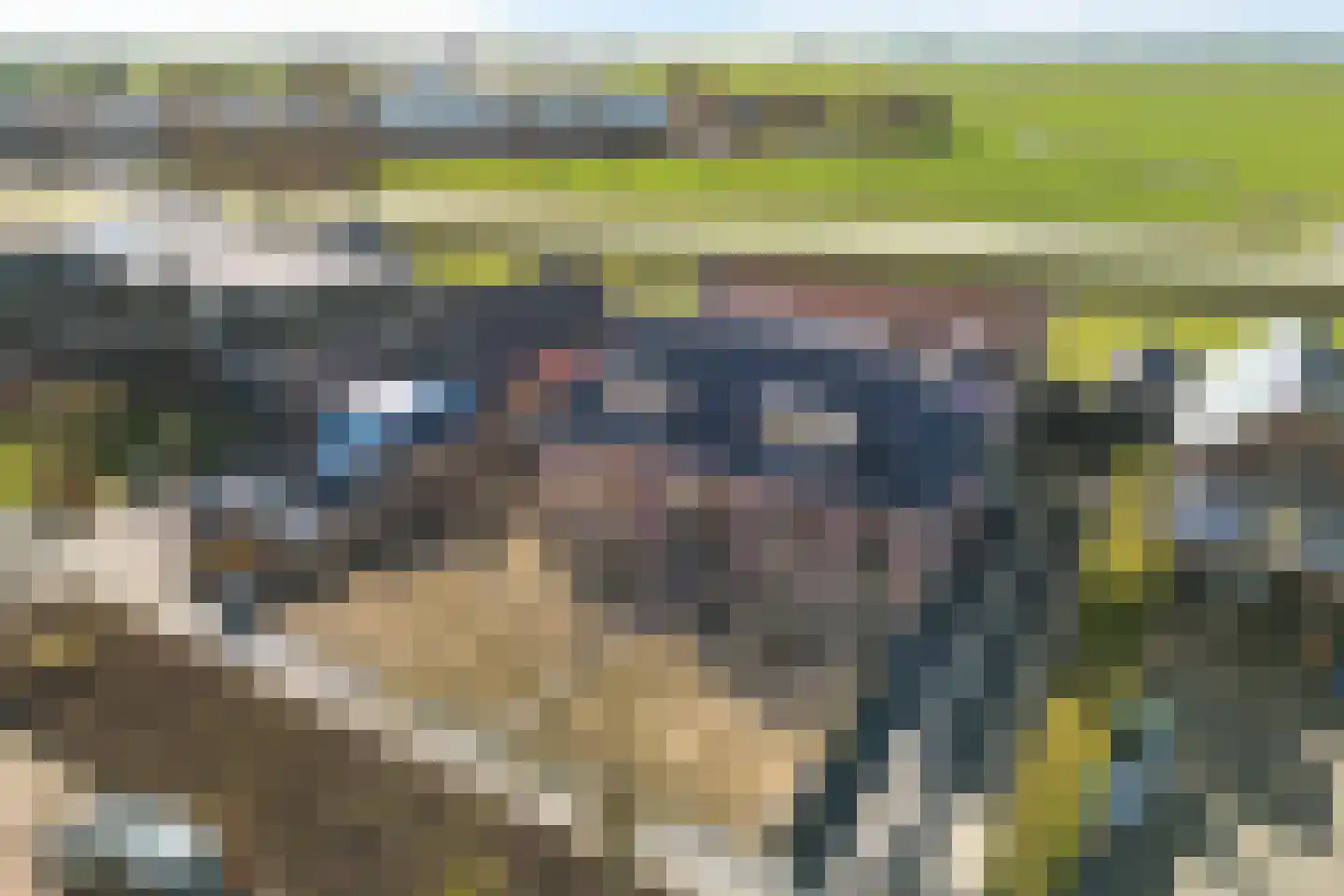 Labadistendyk 28 Wiuwert thumbnail 6