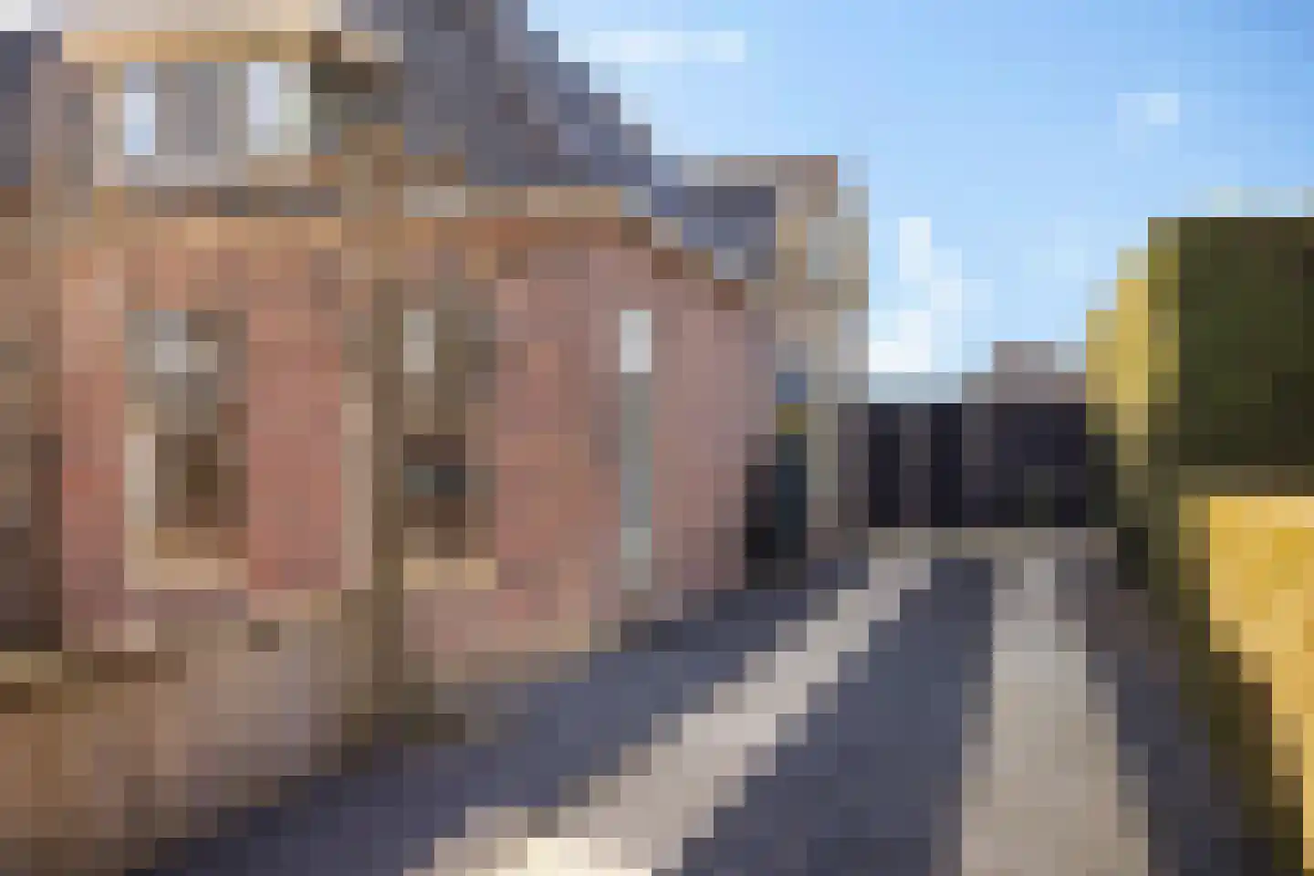 Labadistendyk 28 Wiuwert thumbnail 7