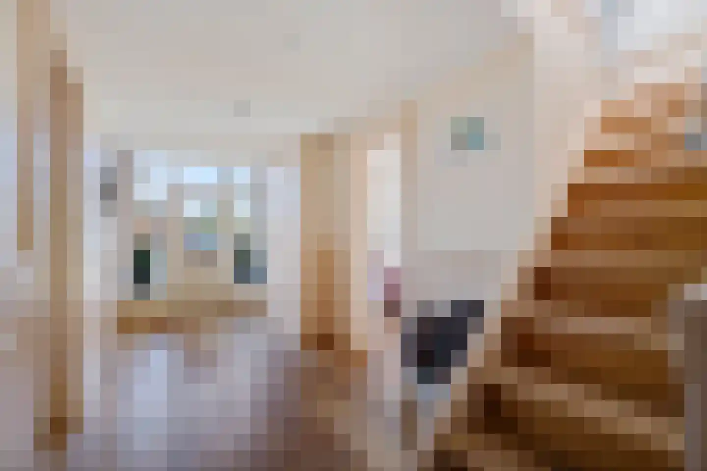 Labadistendyk 28 Wiuwert thumbnail 9