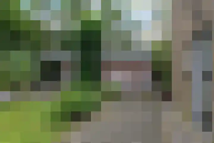 Labadistendyk 9 Wiuwert thumbnail 30