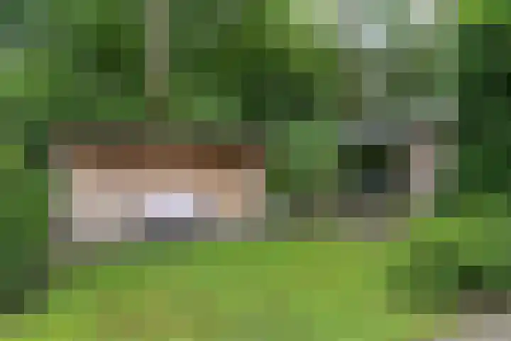 Labadistendyk 9 Wiuwert thumbnail 31