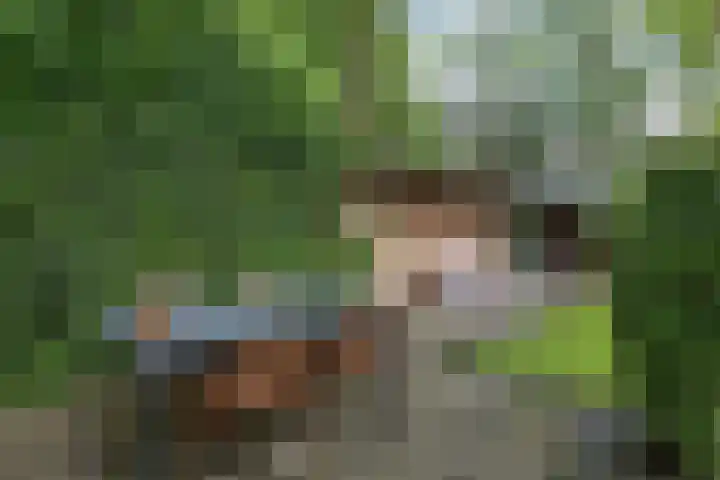 Labadistendyk 9 Wiuwert thumbnail 33
