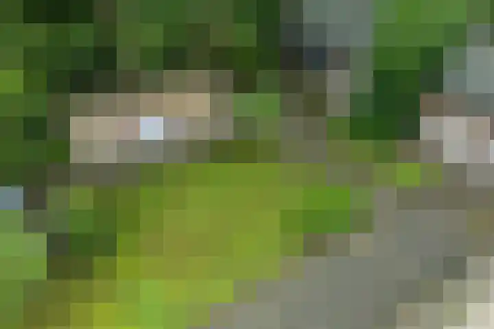 Labadistendyk 9 Wiuwert thumbnail 34
