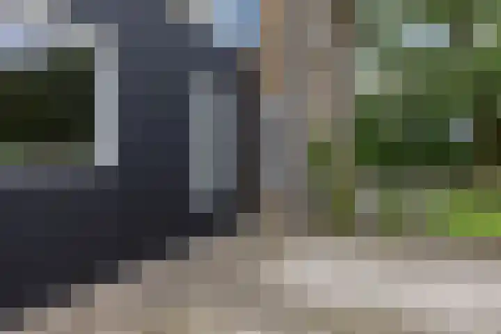 Labadistendyk 9 Wiuwert thumbnail 35