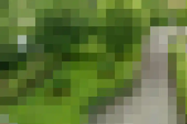 Labadistendyk 9 Wiuwert thumbnail 36