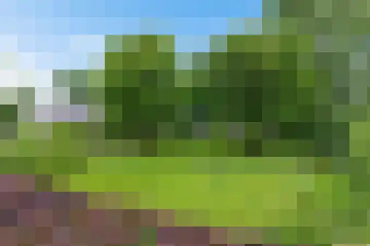 Labadistendyk 9 Wiuwert thumbnail 37