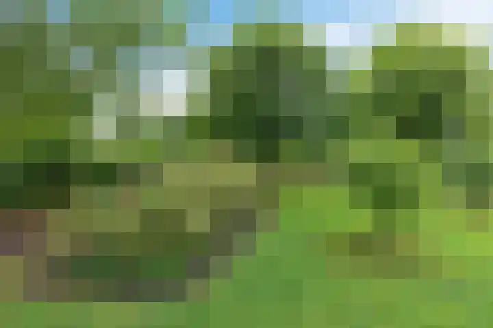 Labadistendyk 9 Wiuwert thumbnail 38