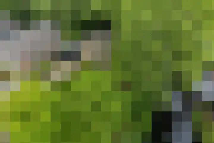 Labadistendyk 9 Wiuwert thumbnail 39