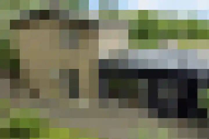 Labadistendyk 9 Wiuwert thumbnail 40