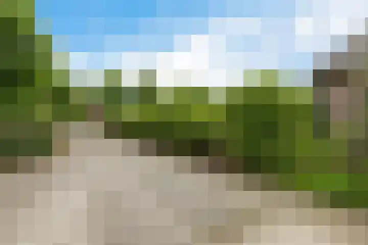 Labadistendyk 9 Wiuwert thumbnail 41