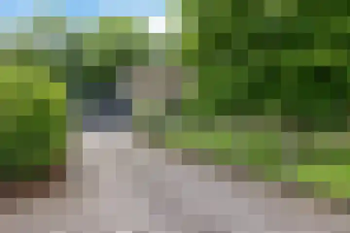 Labadistendyk 9 Wiuwert thumbnail 42