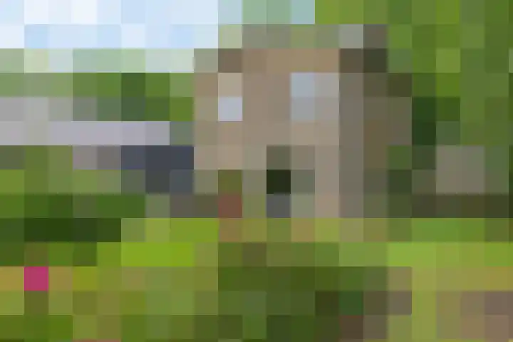 Labadistendyk 9 Wiuwert thumbnail 44