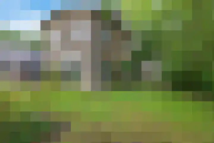 Labadistendyk 9 Wiuwert thumbnail 45
