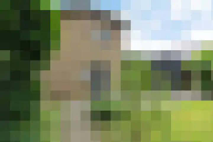 Labadistendyk 9 Wiuwert thumbnail 46