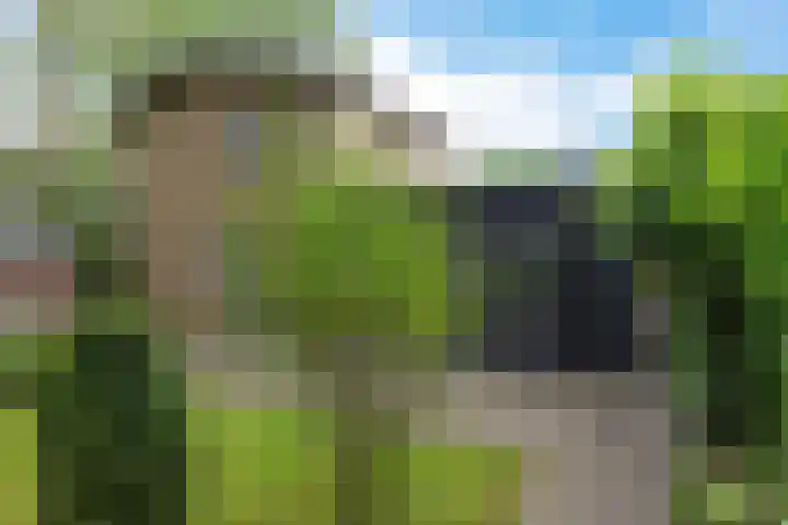 Labadistendyk 9 Wiuwert thumbnail 47