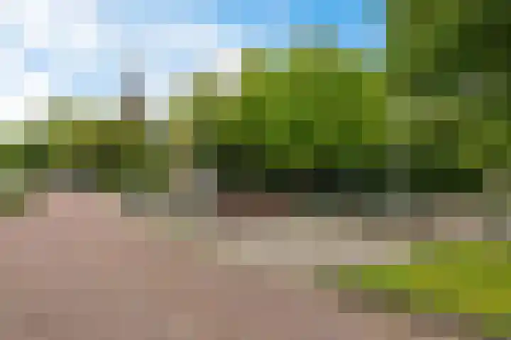 Labadistendyk 9 Wiuwert thumbnail 49