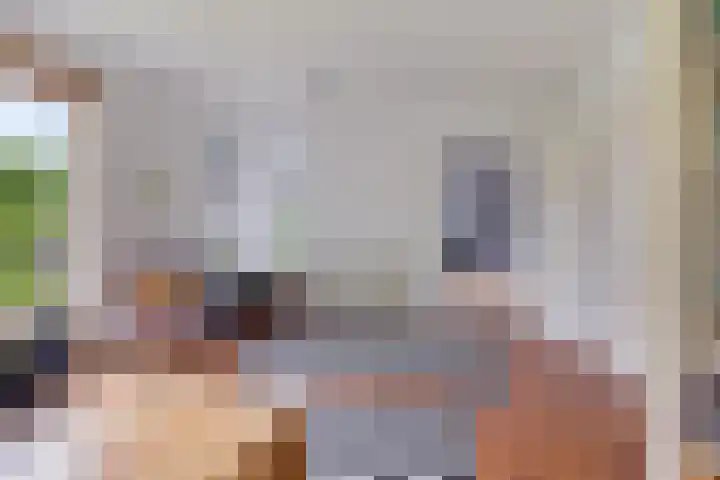 Labadistendyk 9 Wiuwert thumbnail 9