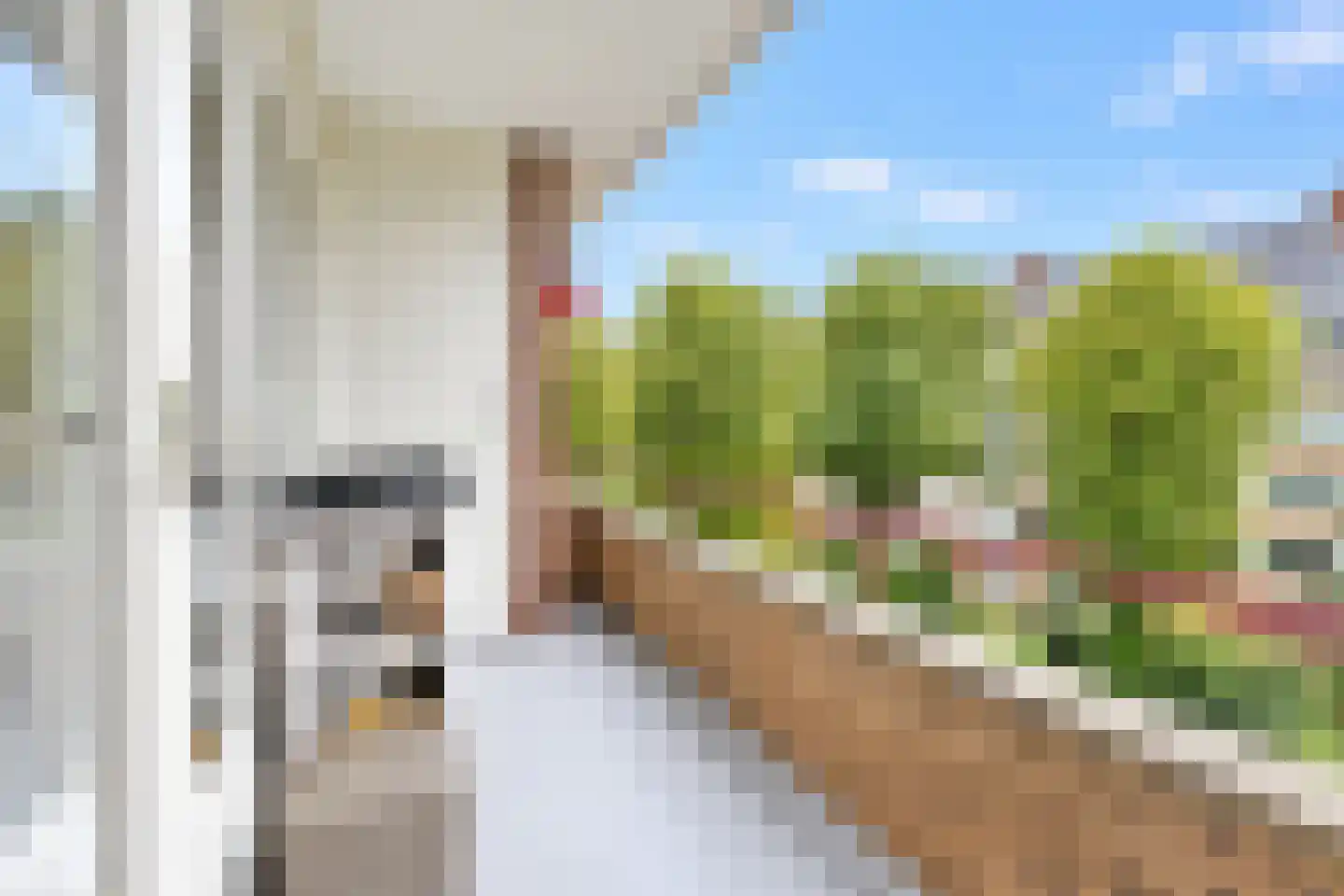 Labouchèrelaan 28 Rijswijk thumbnail 19