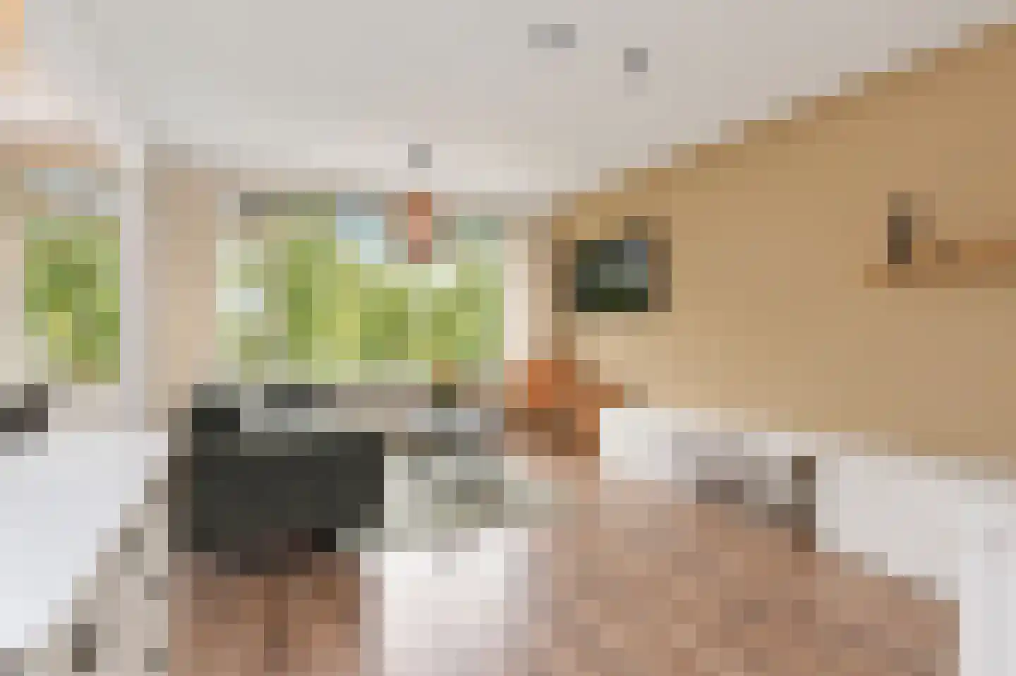 Labouchèrelaan 28 Rijswijk thumbnail 8